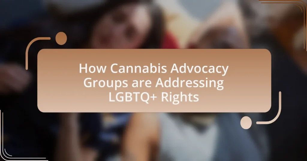 How Cannabis Advocacy Groups are Addressing  Rights