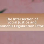 The Intersection of Social Justice and Cannabis Legalization Efforts