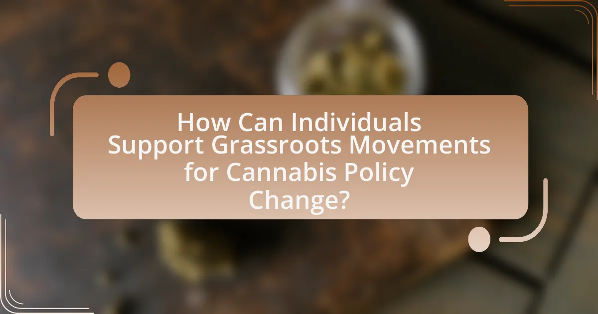 How Can Individuals Support Grassroots Movements for Cannabis Policy Change?