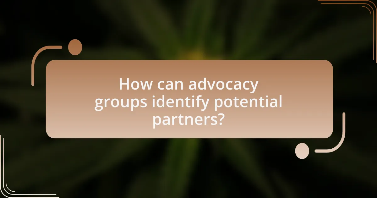 How can advocacy groups identify potential partners?