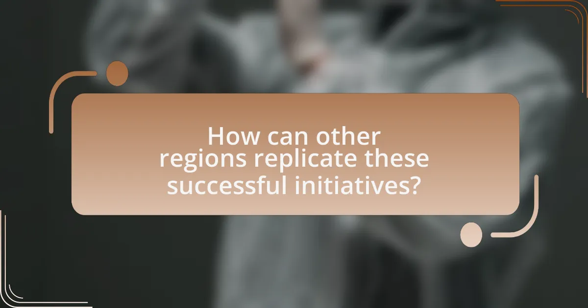 How can other regions replicate these successful initiatives?