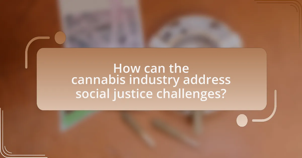 How can the cannabis industry address social justice challenges?