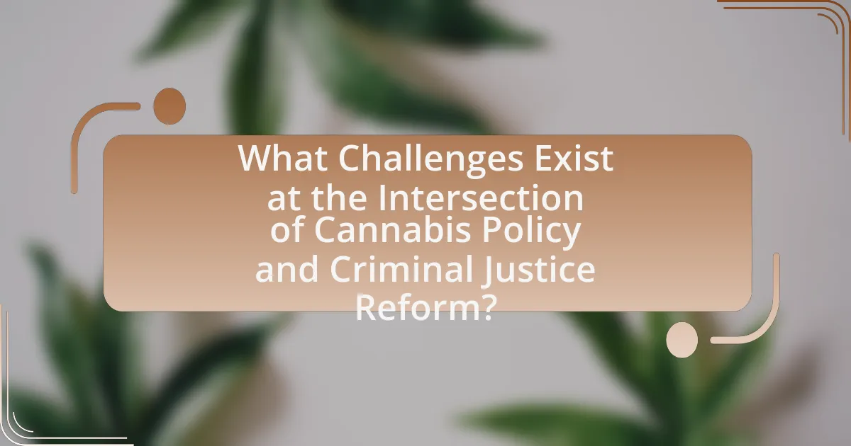 What Challenges Exist at the Intersection of Cannabis Policy and Criminal Justice Reform?
