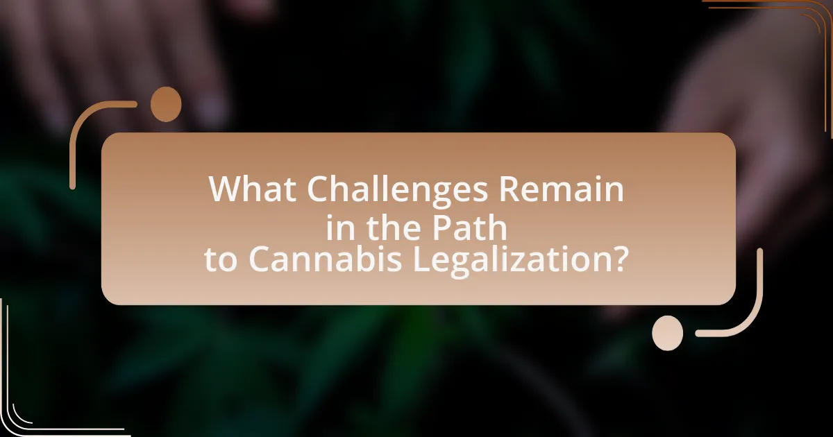 What Challenges Remain in the Path to Cannabis Legalization?