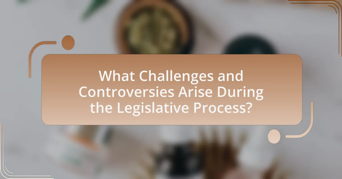 What Challenges and Controversies Arise During the Legislative Process?