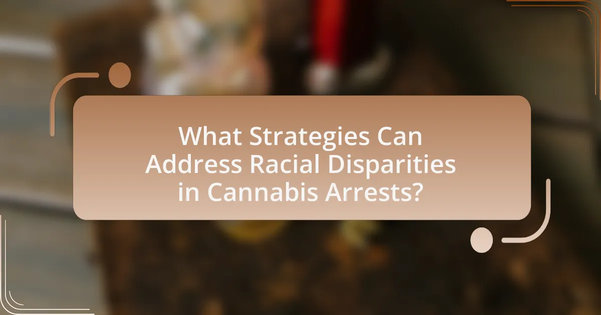 What Strategies Can Address Racial Disparities in Cannabis Arrests?