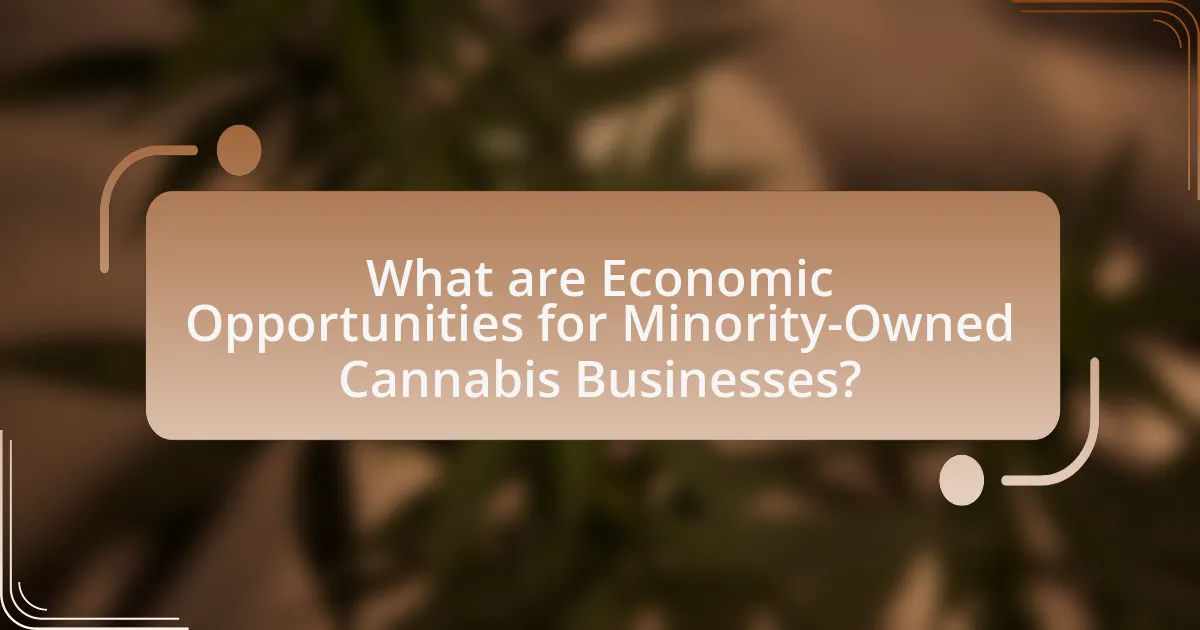 What are Economic Opportunities for Minority-Owned Cannabis Businesses?