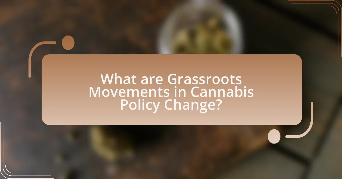 What are Grassroots Movements in Cannabis Policy Change?