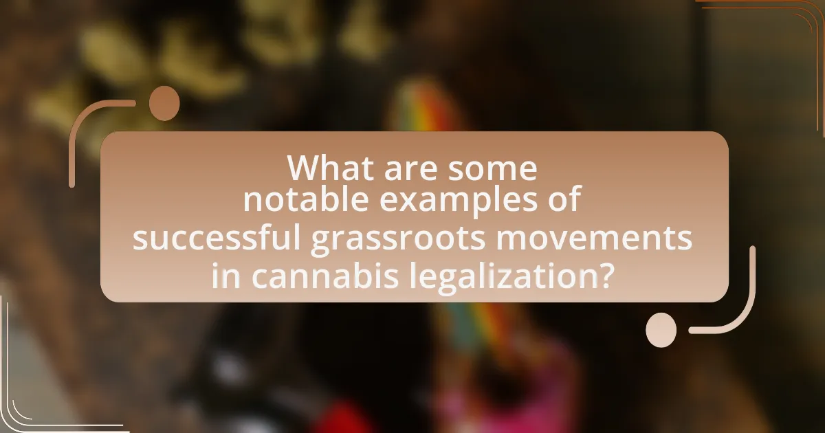 What are some notable examples of successful grassroots movements in cannabis legalization?
