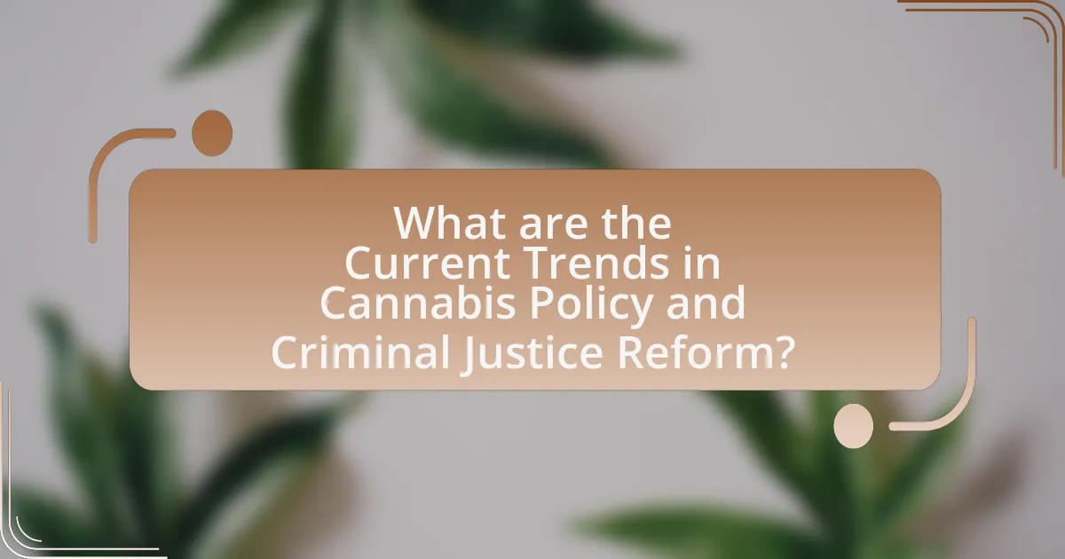What are the Current Trends in Cannabis Policy and Criminal Justice Reform?