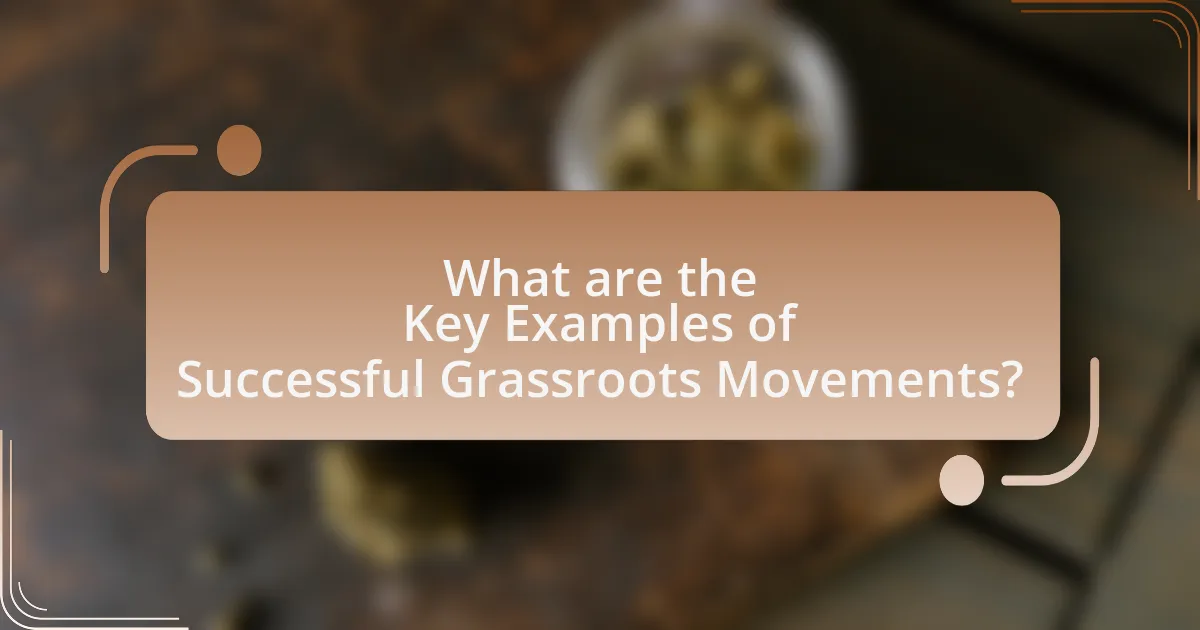 What are the Key Examples of Successful Grassroots Movements?