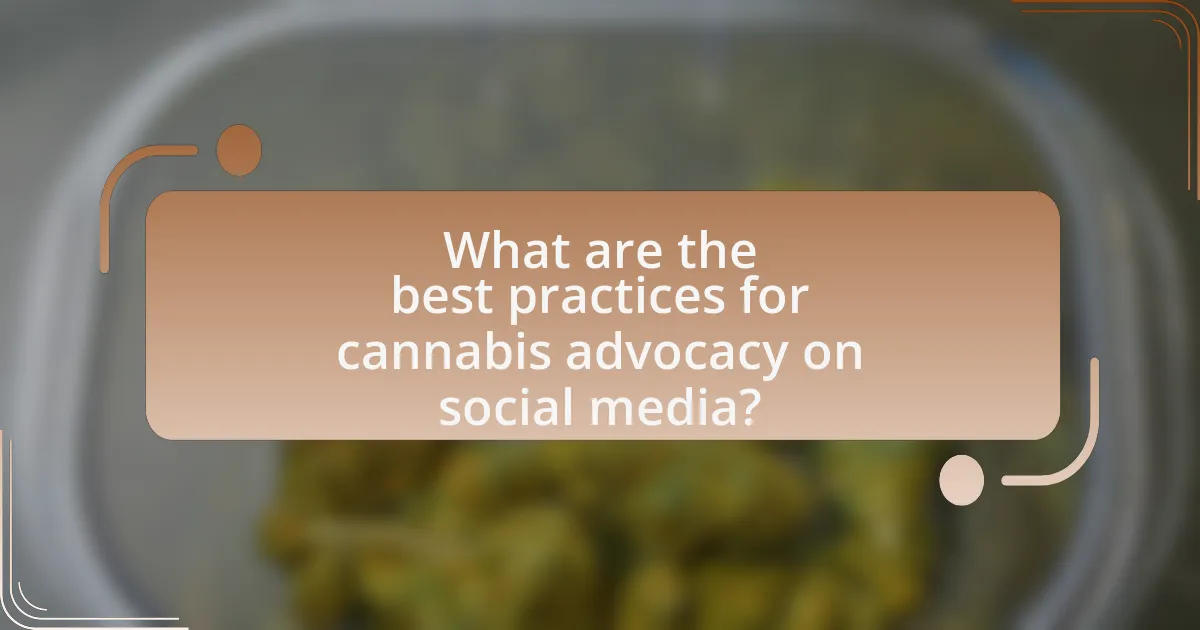 What are the best practices for cannabis advocacy on social media?