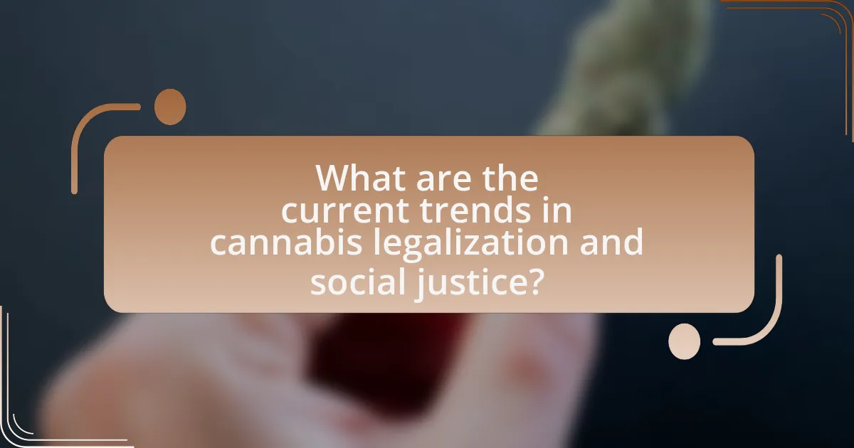 What are the current trends in cannabis legalization and social justice?