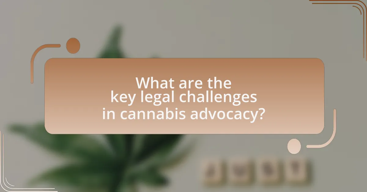 What are the key legal challenges in cannabis advocacy?