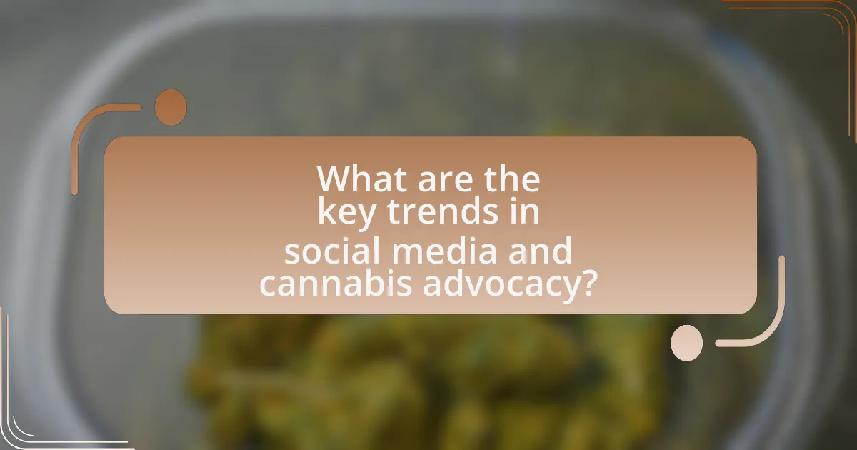 What are the key trends in social media and cannabis advocacy?