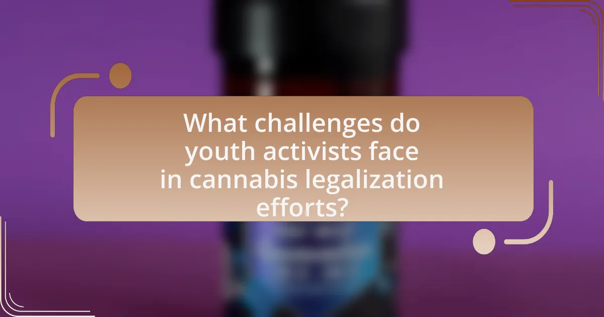 What challenges do youth activists face in cannabis legalization efforts?