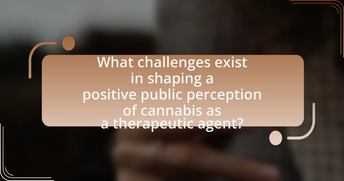 What challenges exist in shaping a positive public perception of cannabis as a therapeutic agent?