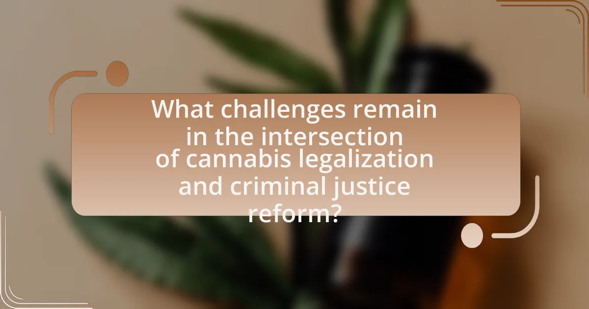 What challenges remain in the intersection of cannabis legalization and criminal justice reform?