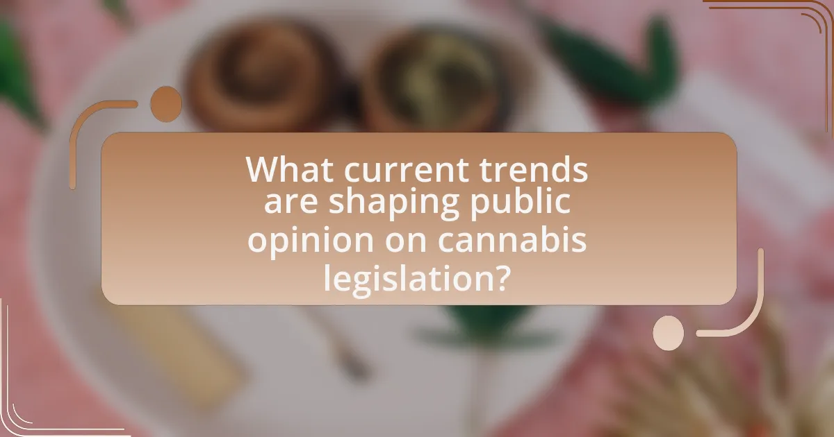 What current trends are shaping public opinion on cannabis legislation?
