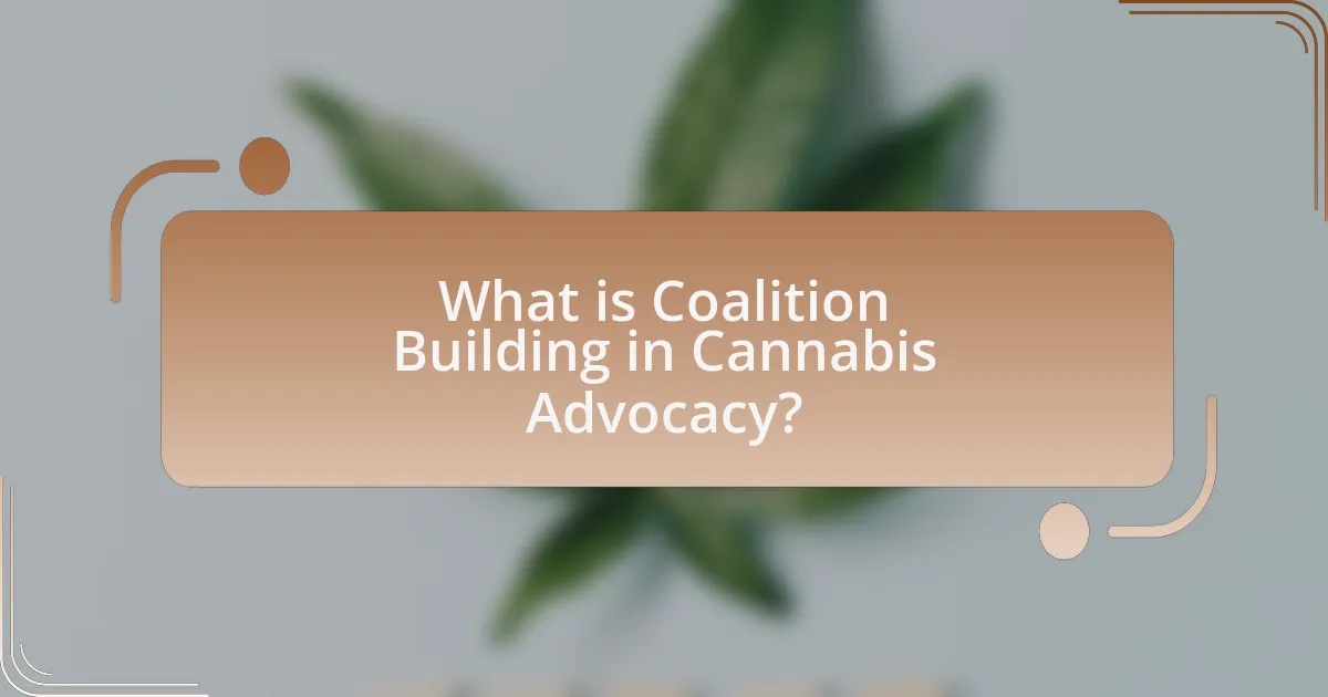 What is Coalition Building in Cannabis Advocacy?