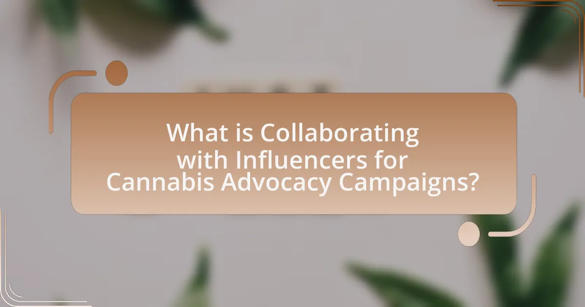 What is Collaborating with Influencers for Cannabis Advocacy Campaigns?