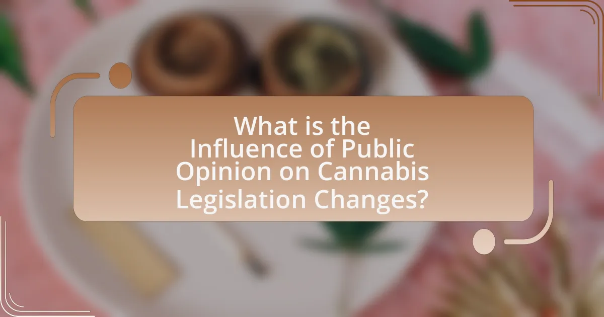 What is the Influence of Public Opinion on Cannabis Legislation Changes?