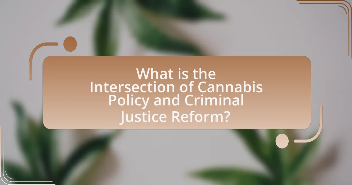 What is the Intersection of Cannabis Policy and Criminal Justice Reform?