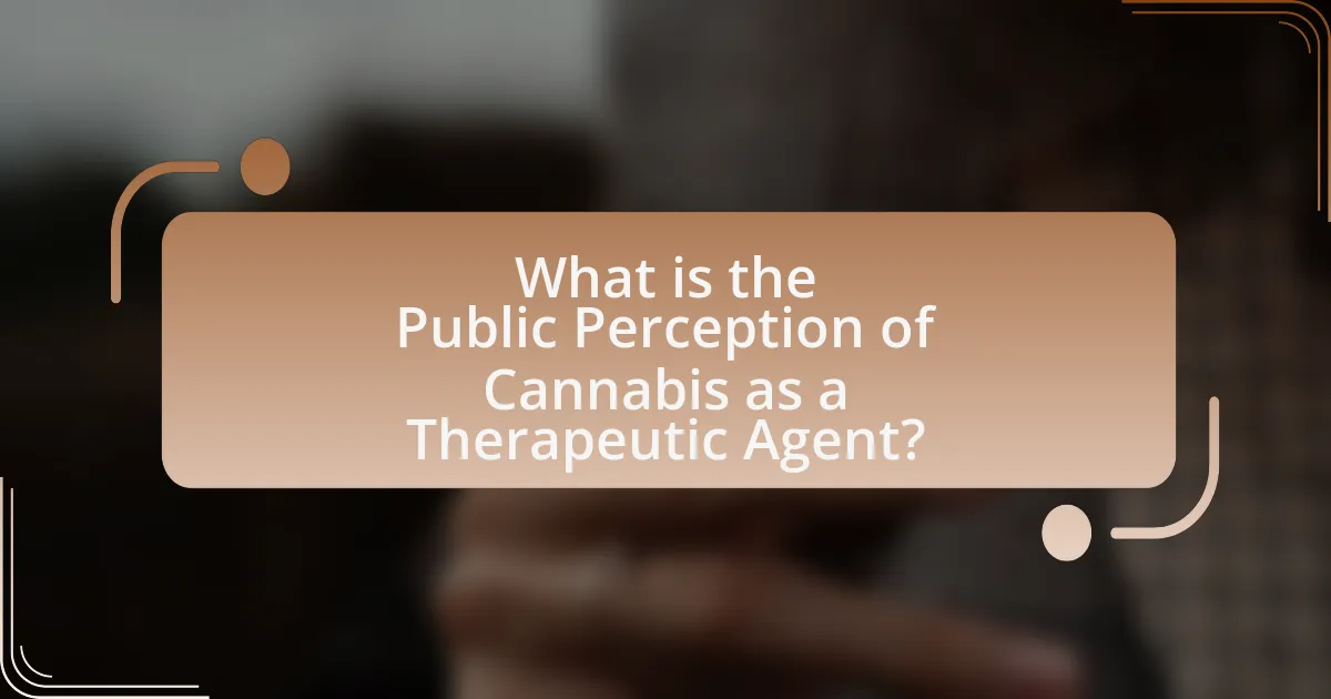 What is the Public Perception of Cannabis as a Therapeutic Agent?