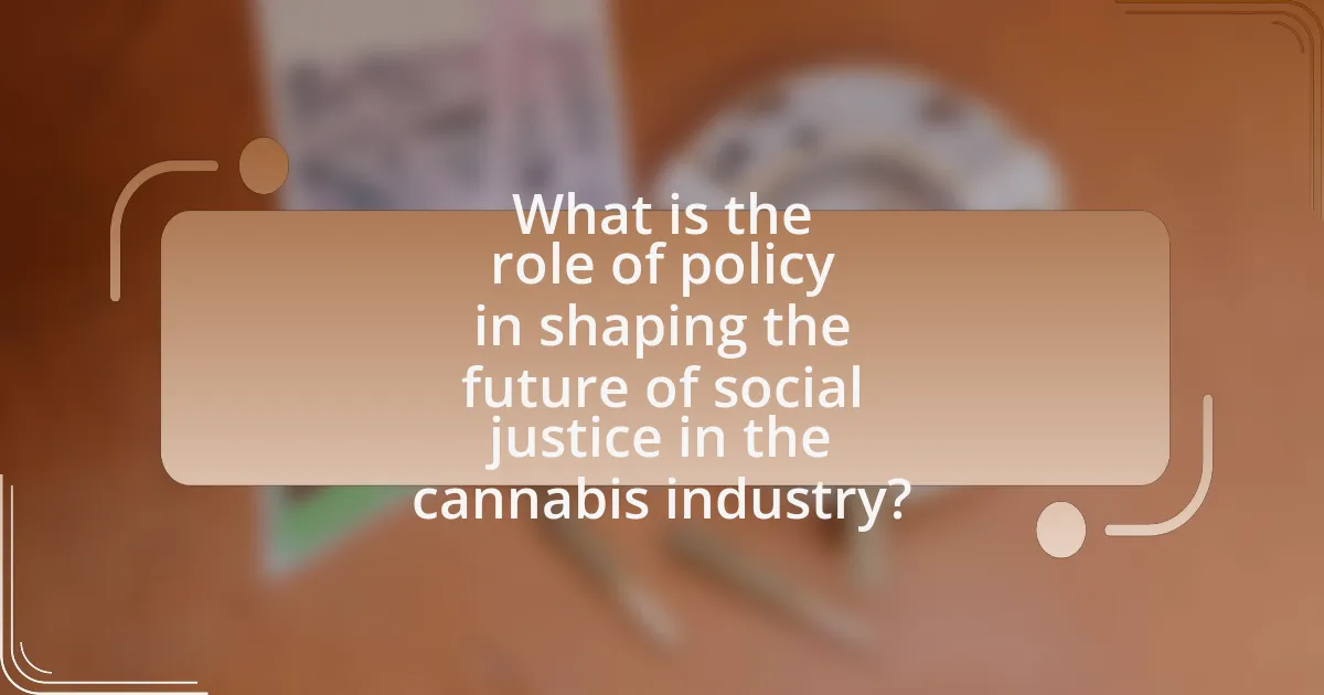 What is the role of policy in shaping the future of social justice in the cannabis industry?