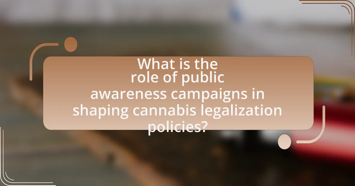 What is the role of public awareness campaigns in shaping cannabis legalization policies?