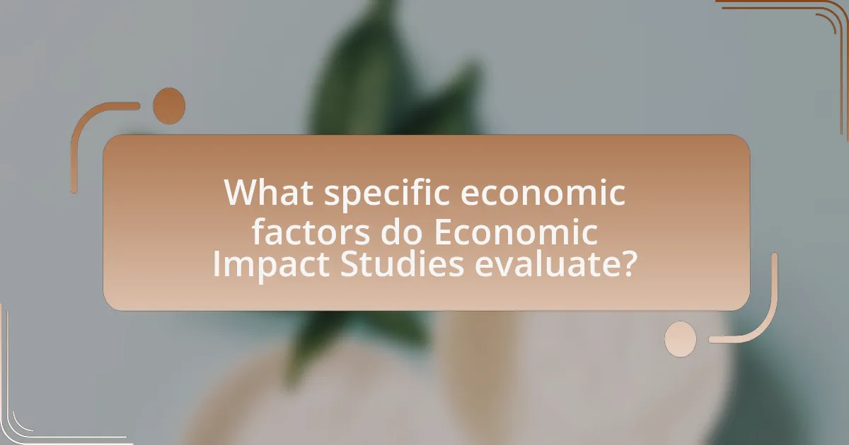What specific economic factors do Economic Impact Studies evaluate?