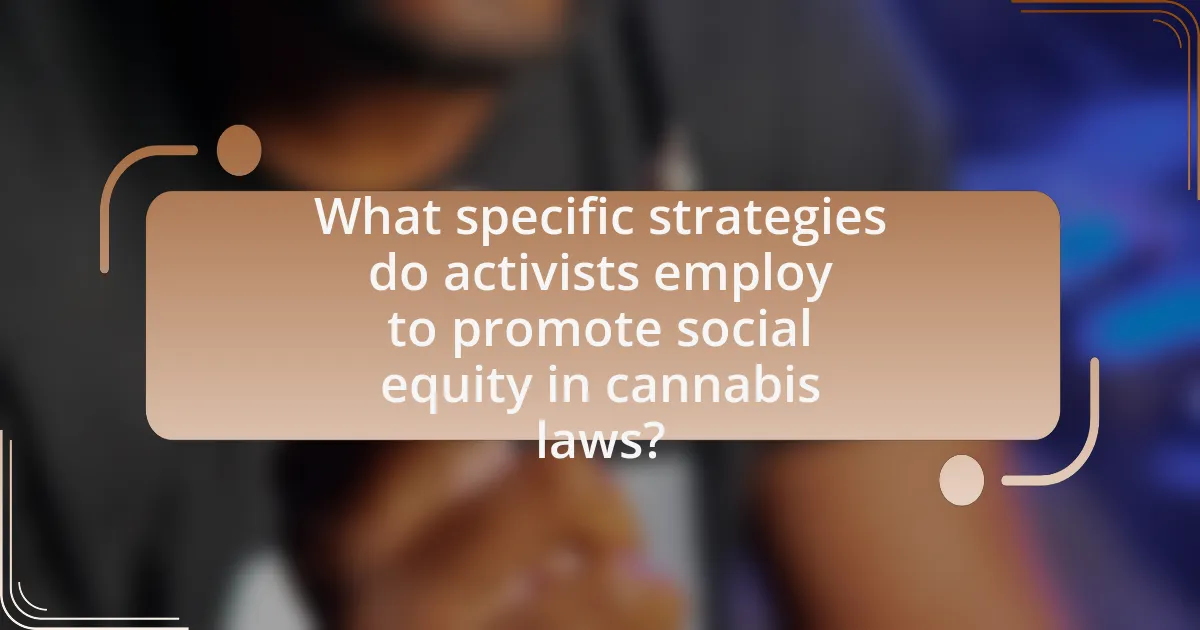 What specific strategies do activists employ to promote social equity in cannabis laws?
